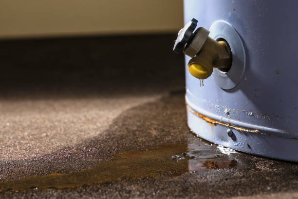 Best Residential water damage restoration  in Wheelersburg, OH