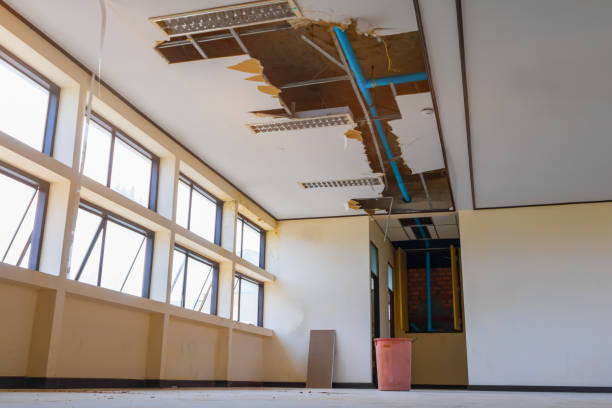 Best Water damage restoration services  in Wheelersburg, OH