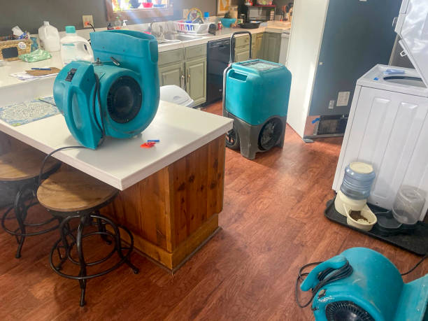 Best 24-hour water damage restoration  in Wheelersburg, OH