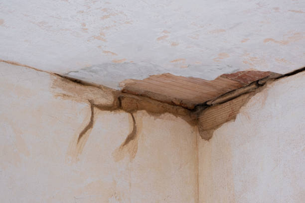 Best Carpet water damage restoration  in Wheelersburg, OH