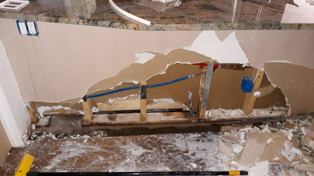 Best Water damage restoration company  in Wheelersburg, OH