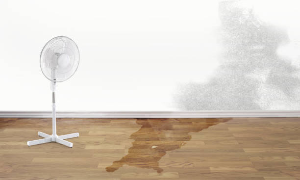 Best Flooded house restoration  in Wheelersburg, OH