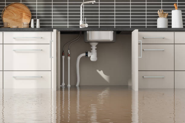 Best Commercial water damage restoration  in Wheelersburg, OH