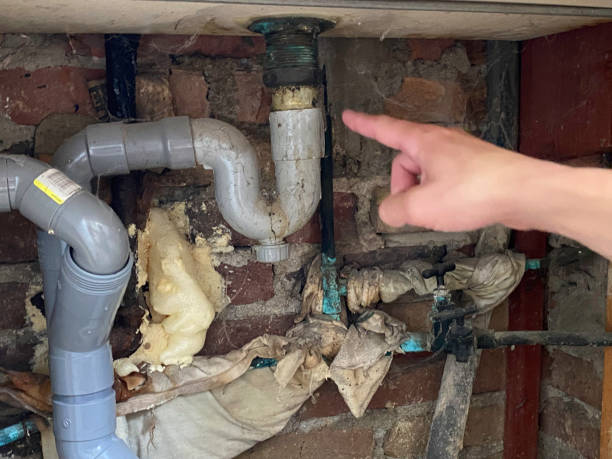 Best Water damage contractors near me  in Wheelersburg, OH