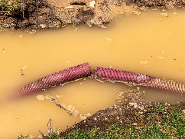 Best Flood damage cleanup  in Wheelersburg, OH