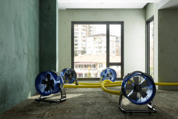Best Water damage cleanup near me  in Wheelersburg, OH