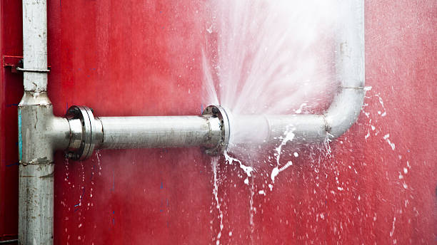 Best Water damage mitigation services  in Wheelersburg, OH